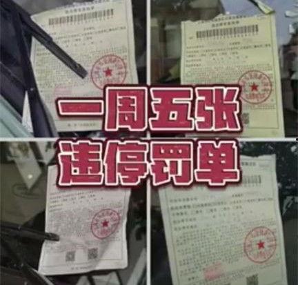 罚款的网红三斤,行业规范再引热议